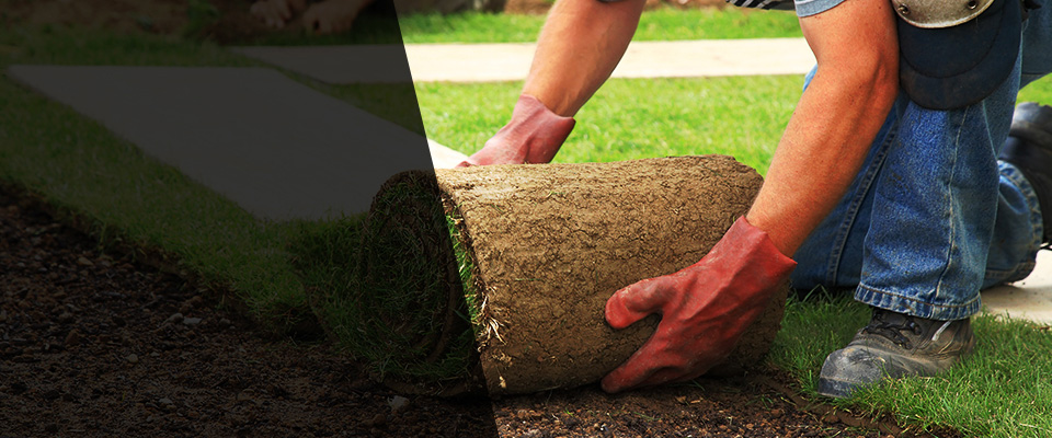 Lincolnton Landscapers